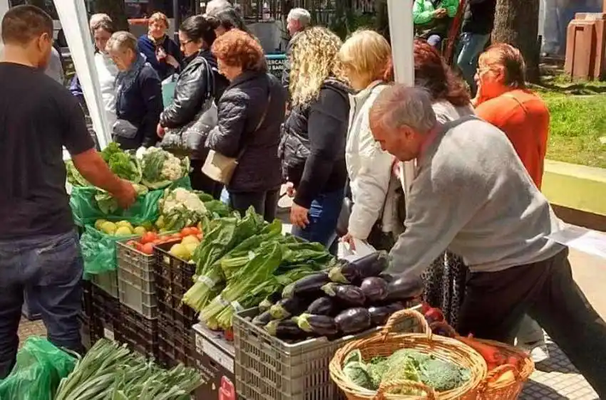 Buscan ampliar el Mercado en tu Barrio con nuevas sedes