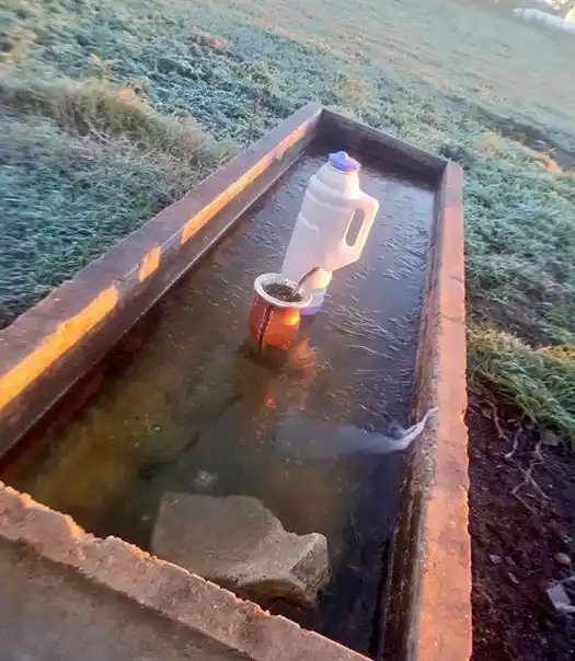 Se prevé que las bajas temperaturas continúen hasta el fin de semana