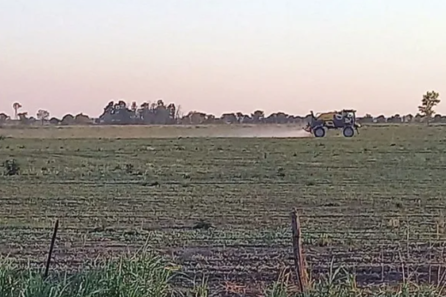 Comenzó la siembra de soja con una proyección récord en el centro norte santafesino