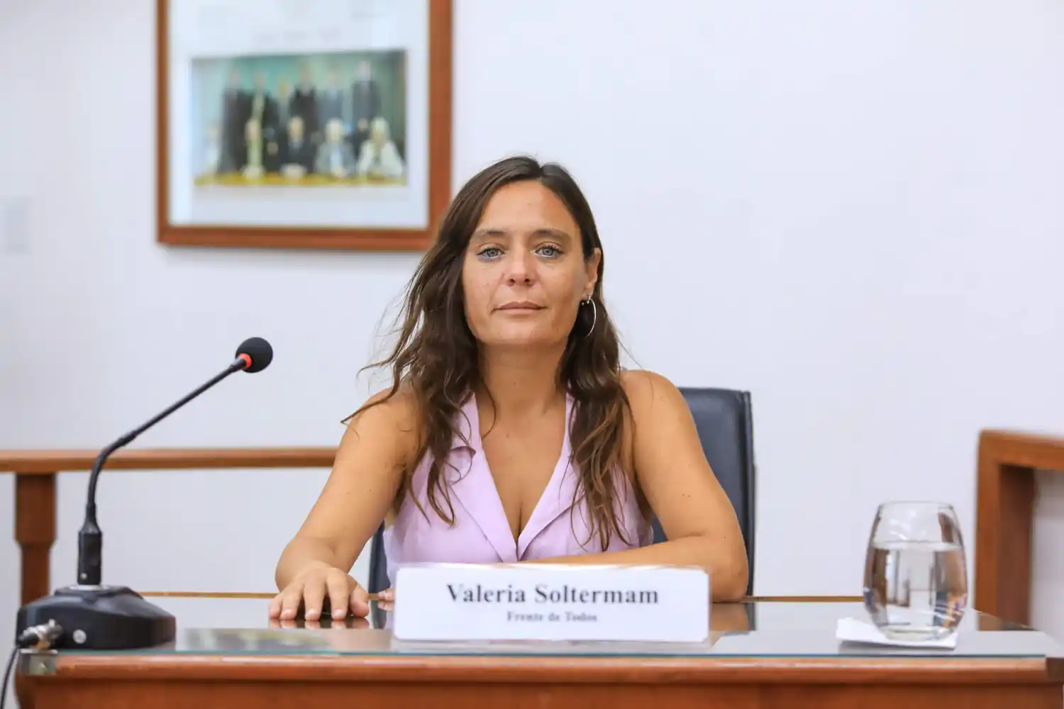 Soltermam: “Logramos frenar otro impuestazo de Viotti”