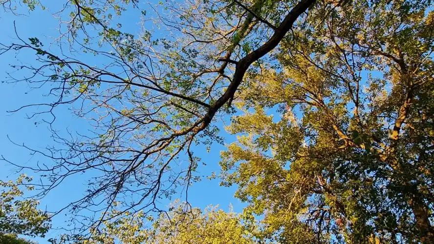 Abril arrancó con un cielo despejado en Necochea y Quequén