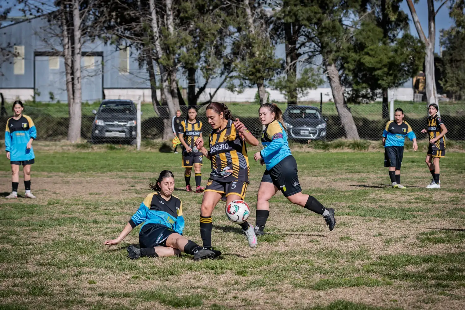 olimpo-barra - 2