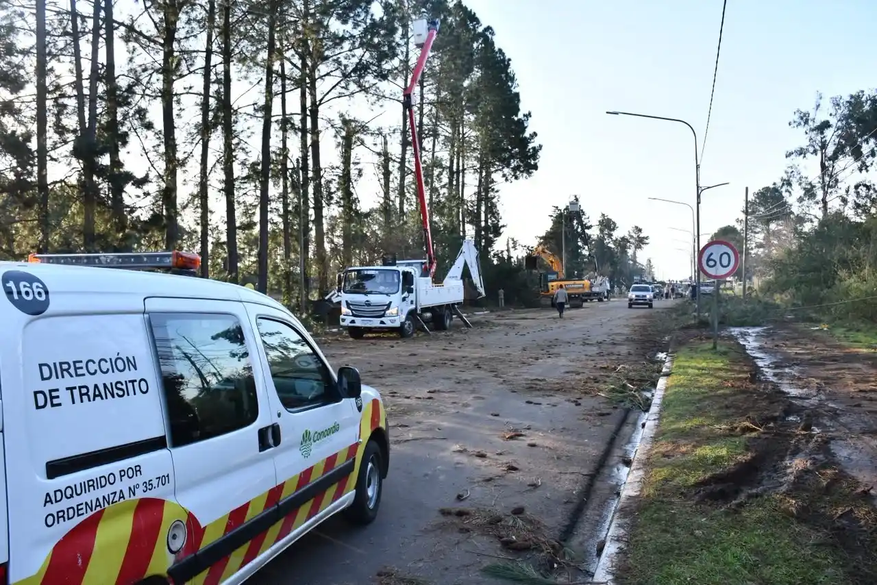 Voladuras de techos, árboles caídos y un apagón masivo dejó el temporal en Concordia