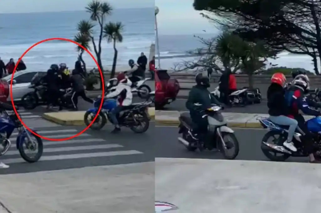 Violento ataque piraña