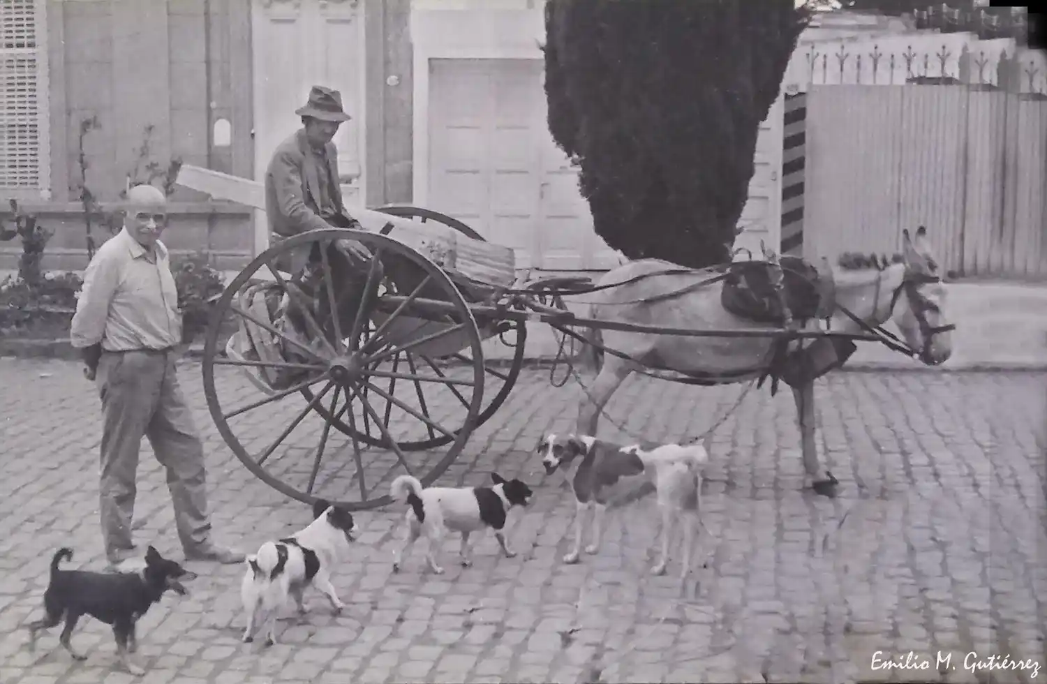 Un recuerdo emotivo de Chascomús a través del lente de Emilio Mariano Gutiérrez