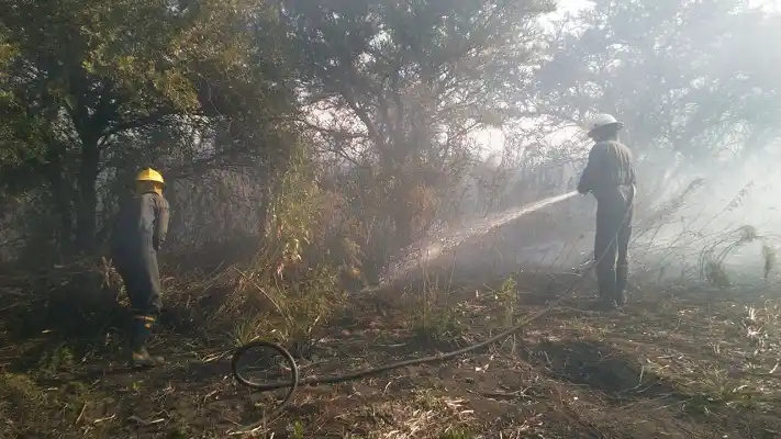 Volvió a incendiarse el campo cercano a la rotonda del Cristo