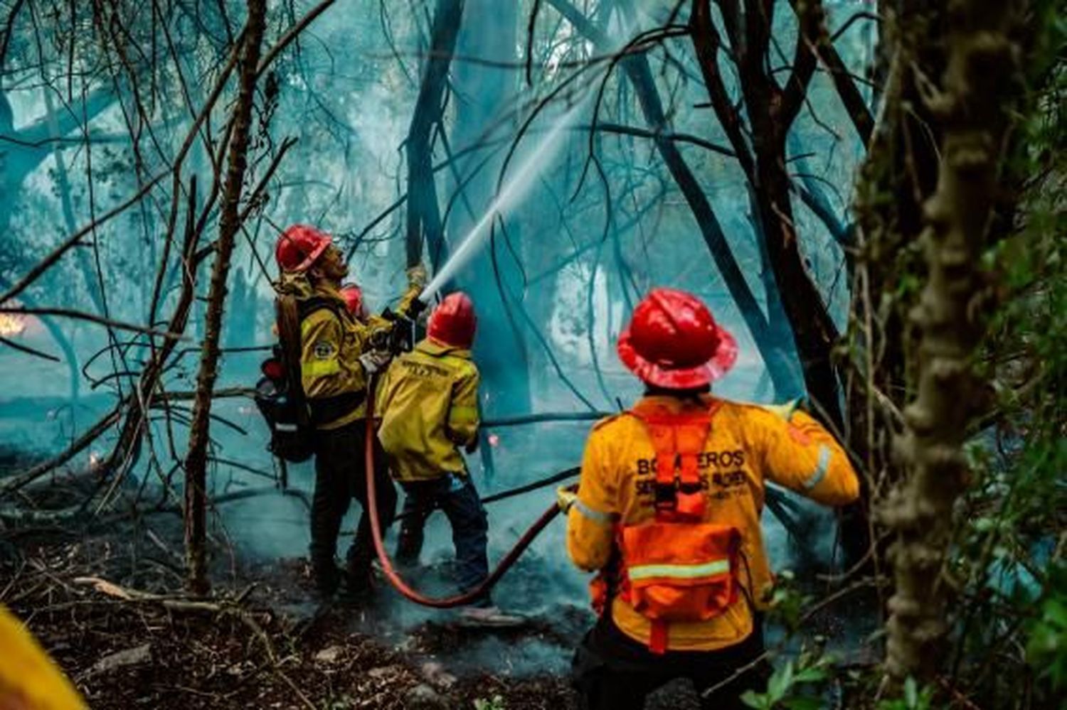 Piden precaución por posibles incendios forestales