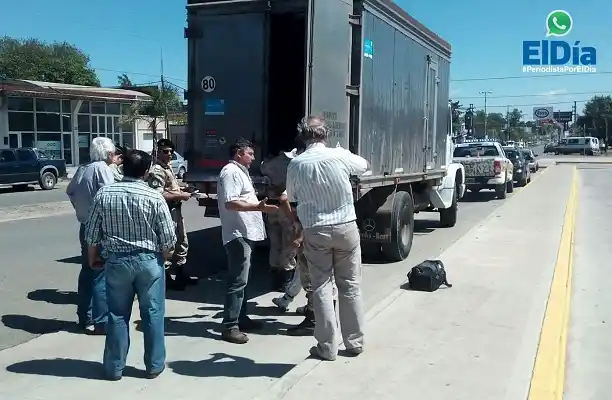 #PeriodistaPorElDía: Operativo de Abigeato en Pedro Jurado y Urquiza 