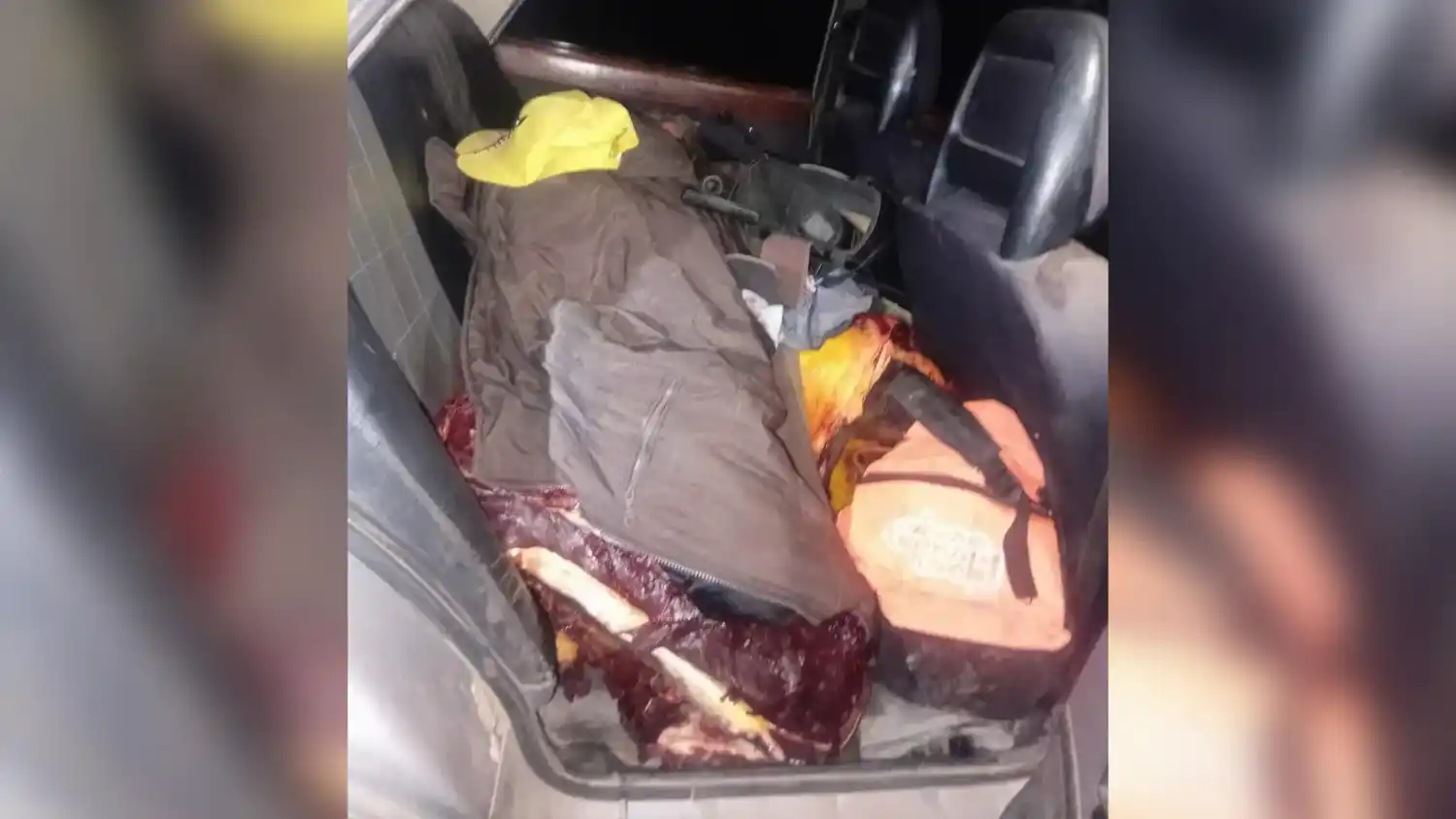 Pasajero un poco peculiar: Aprehendieron a una mujer y secuestraron 400 kilos de carne equina