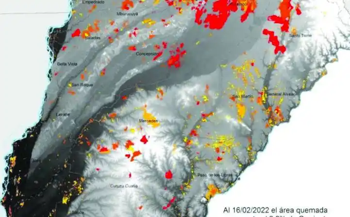 Corrientes bajo fuego: ya se quemaron 785.238 hectáreas, un 9% del territorio provincial