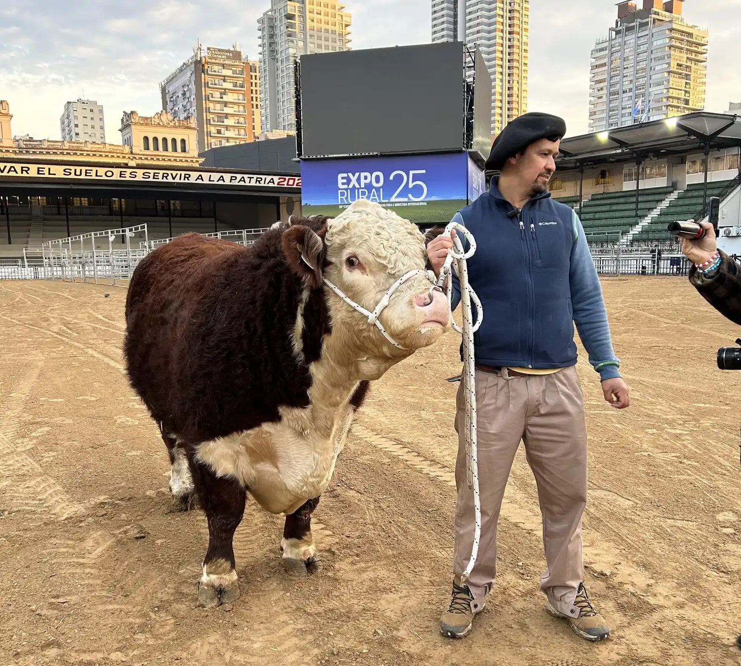 Un toro de 1.000 kilos fue el primer animal en llegar a la Expo Rural