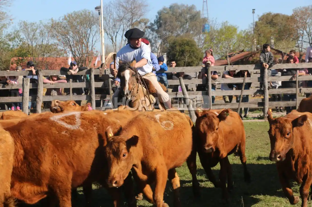 expo rural gualeguaychú 2022 - 1