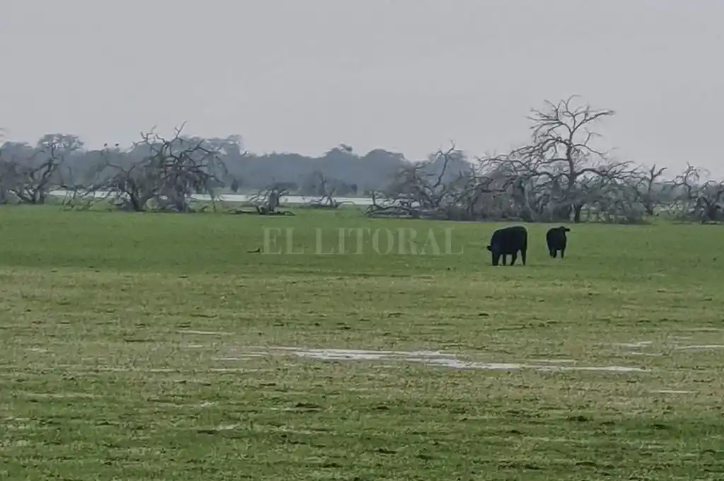 Ganaderos reclaman por el escurrimiento natural