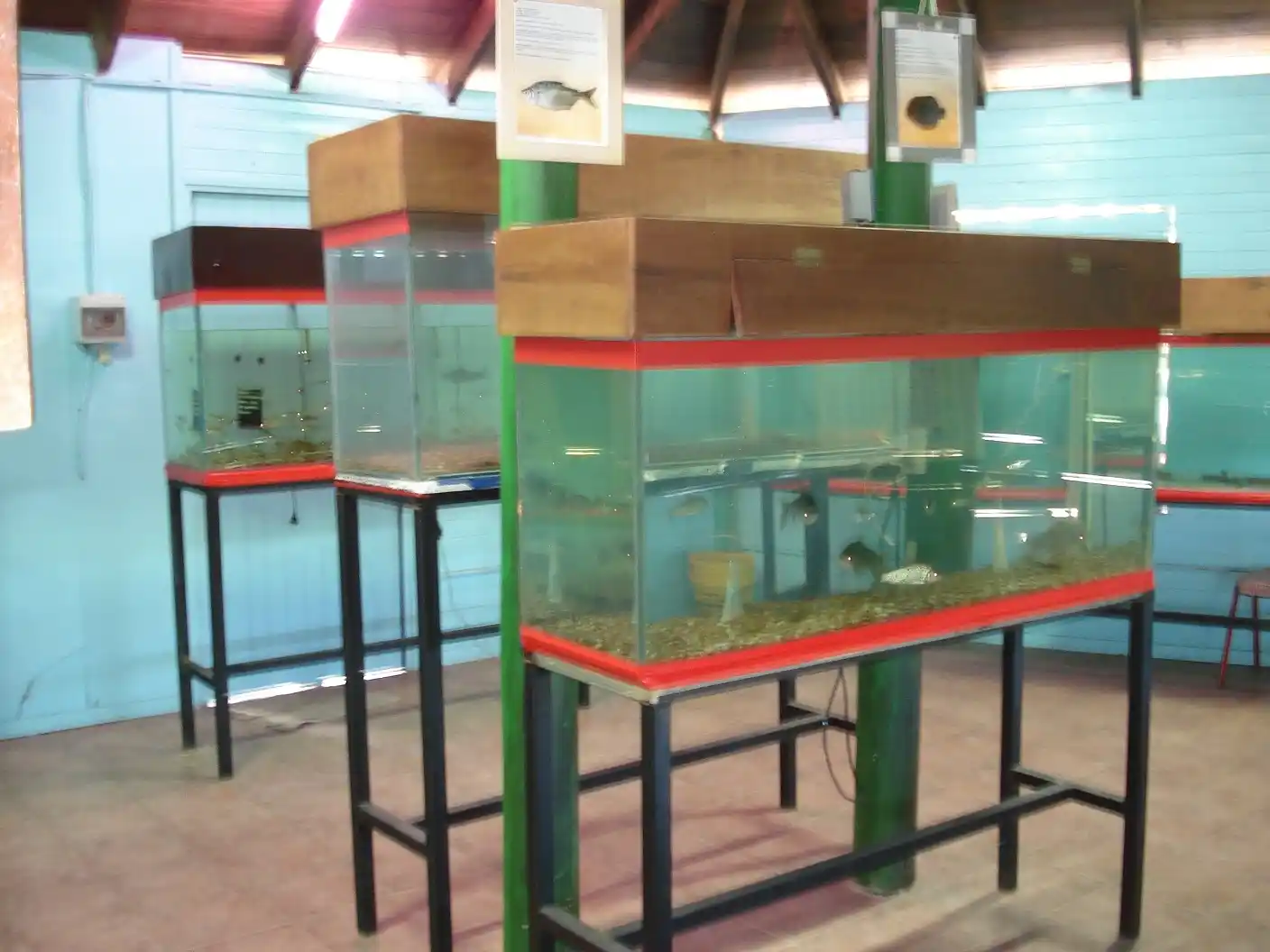 Invitan a visitar el Acuario Municipal