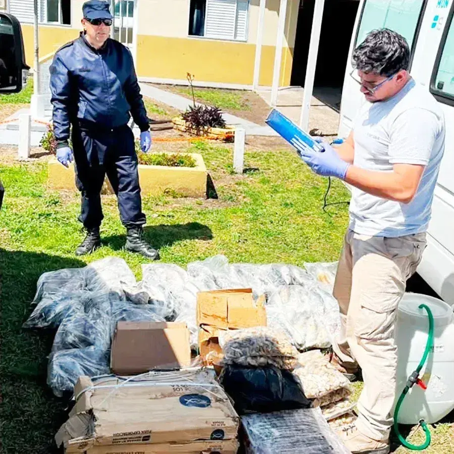 Decomisaron 200 kilos de pescados y mariscos transportados irregularmente