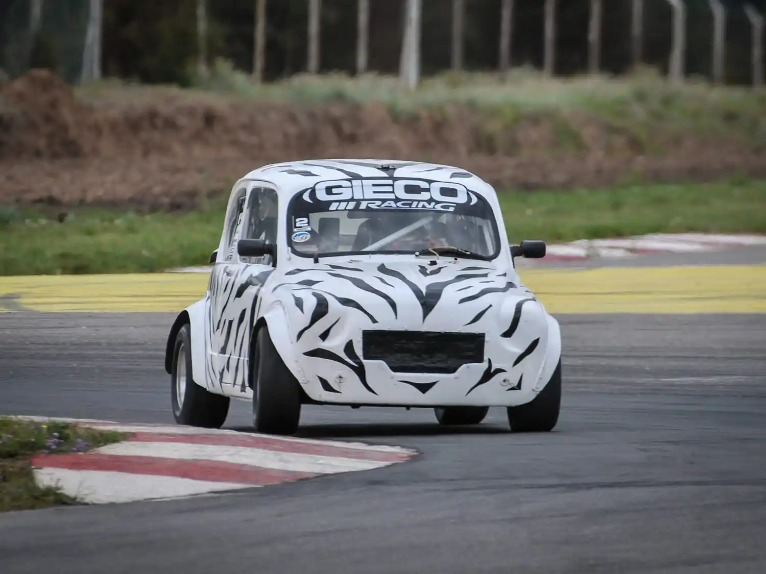 Pablo Gieco con La Cebra