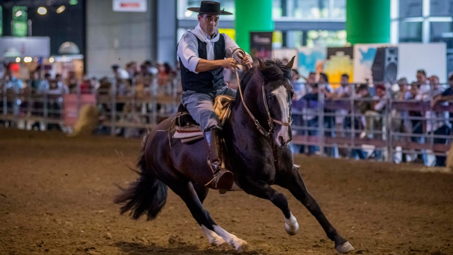 Activistas veganos irrumpieron en una exhibición de caballos en La Rural y fueron agredidos por los jinetes