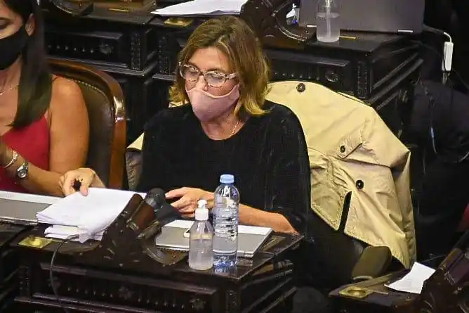 Diputada PRO: �SEl Gobierno nacional descuida a los que se arriesgan a producir energías limpias⬝