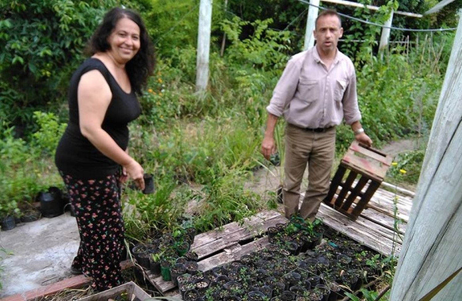 Concejales proponen declarar de interés municipal el proyecto 12 Árboles por Cuadra