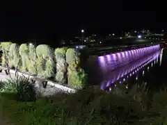 El Murallón del Dique se ilumina de rosa para concientizar sobre el cáncer de mama