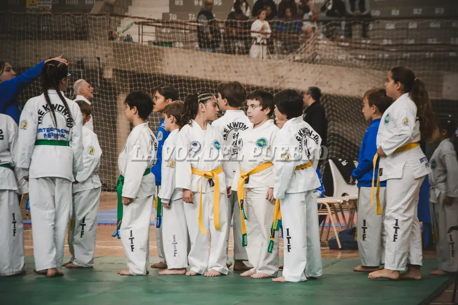 taekwondo polide - 9