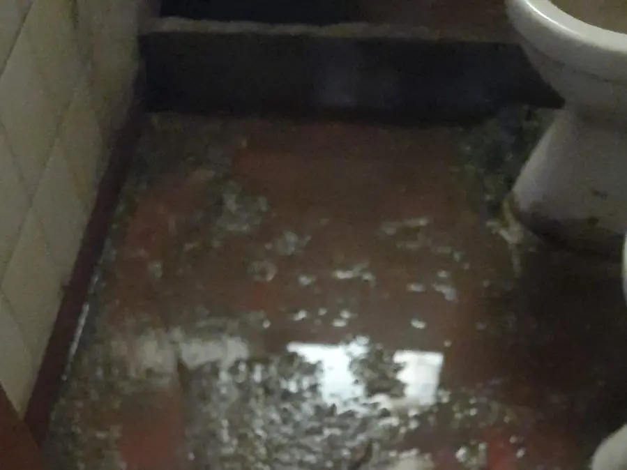 Quejas por el estado de las cloacas en el Fonavi 2