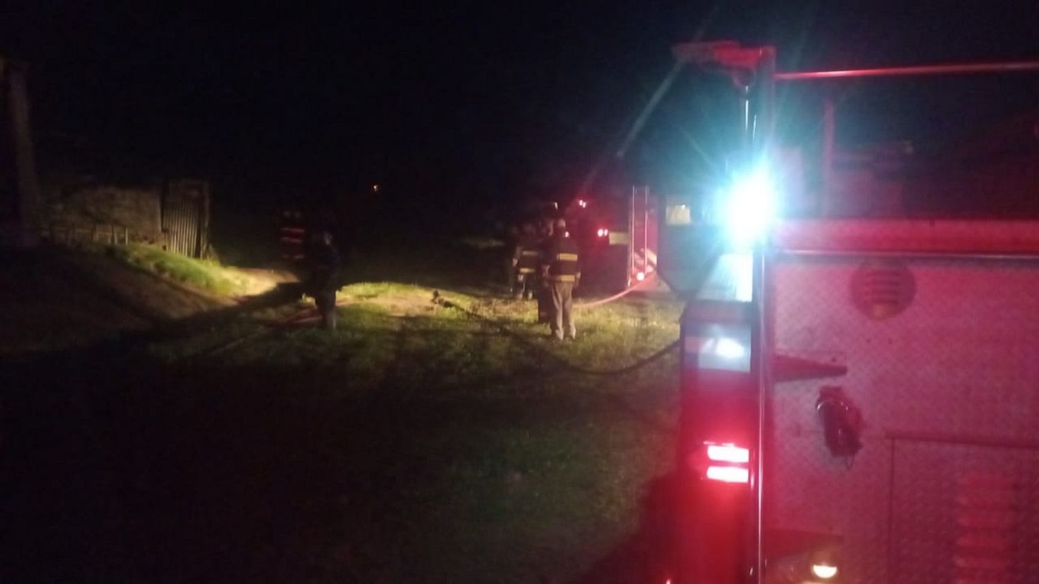 Se incendió una granja porcina, murieron quemados más de 500 cerdos