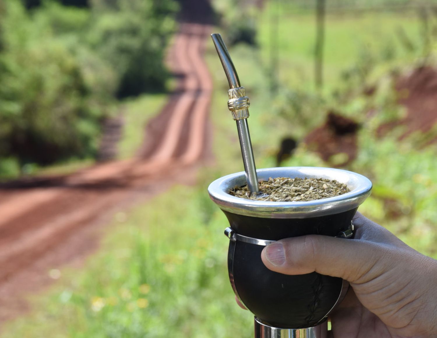 Yerba Mate: Incremento en las ventas con relación al mismo mes del año pasado