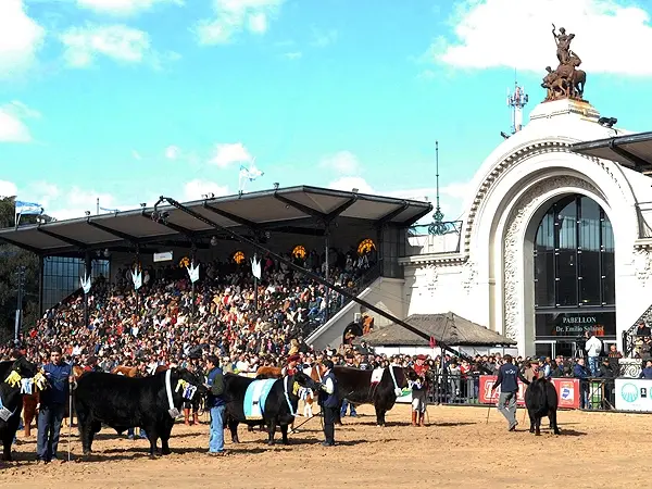 Reabren causa contra Sociedad Rural por fraude al Estado a través de créditos del BAPRO