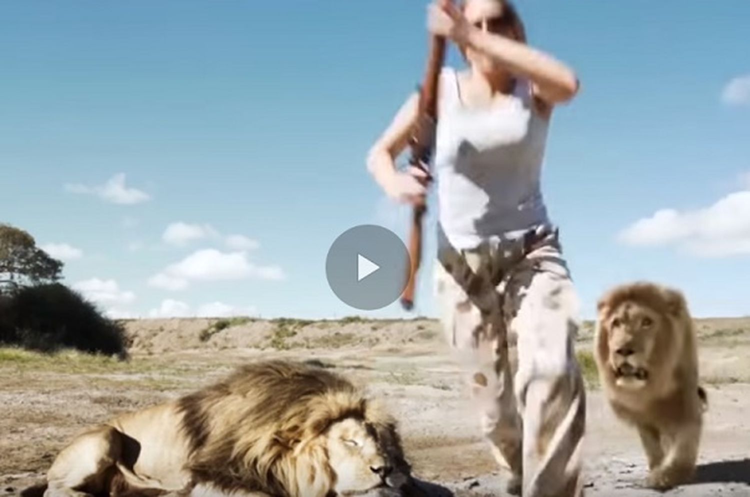 Increíble venganza de un león por la muerte de uno de los suyos