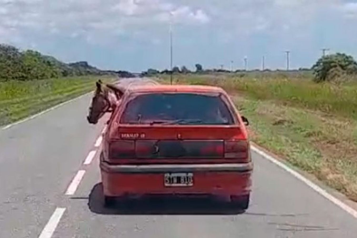 Insólito suceso en Córdoba: lo filmaron llevando un caballo dentro de su Renault 19