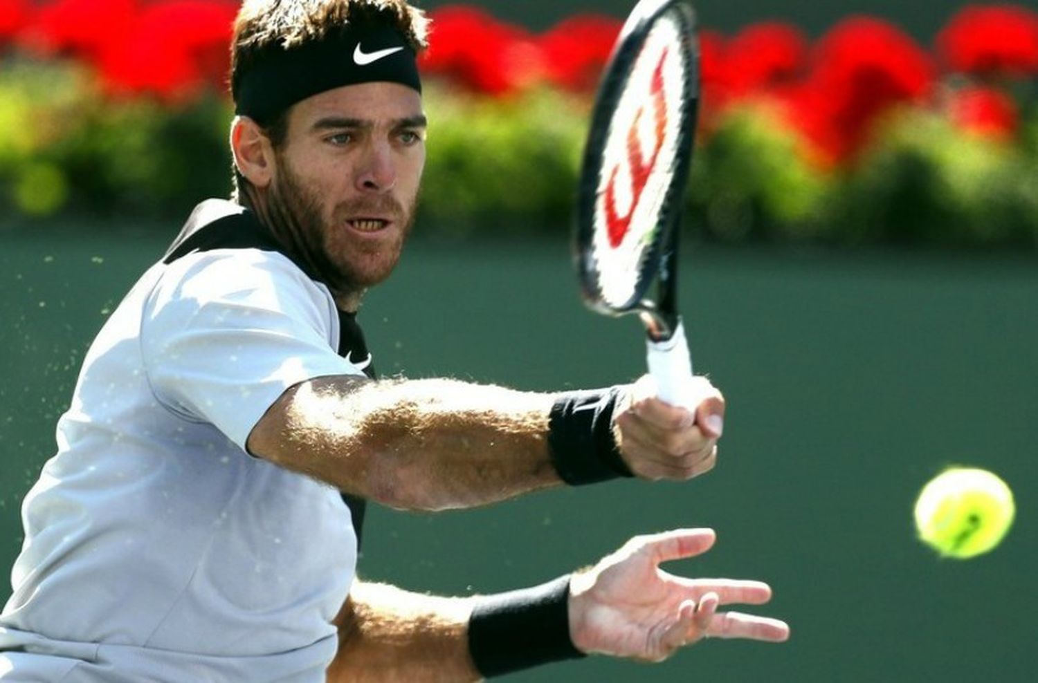 Del Potro se coronó campeón del ATP Indian Wells frente a Federer
