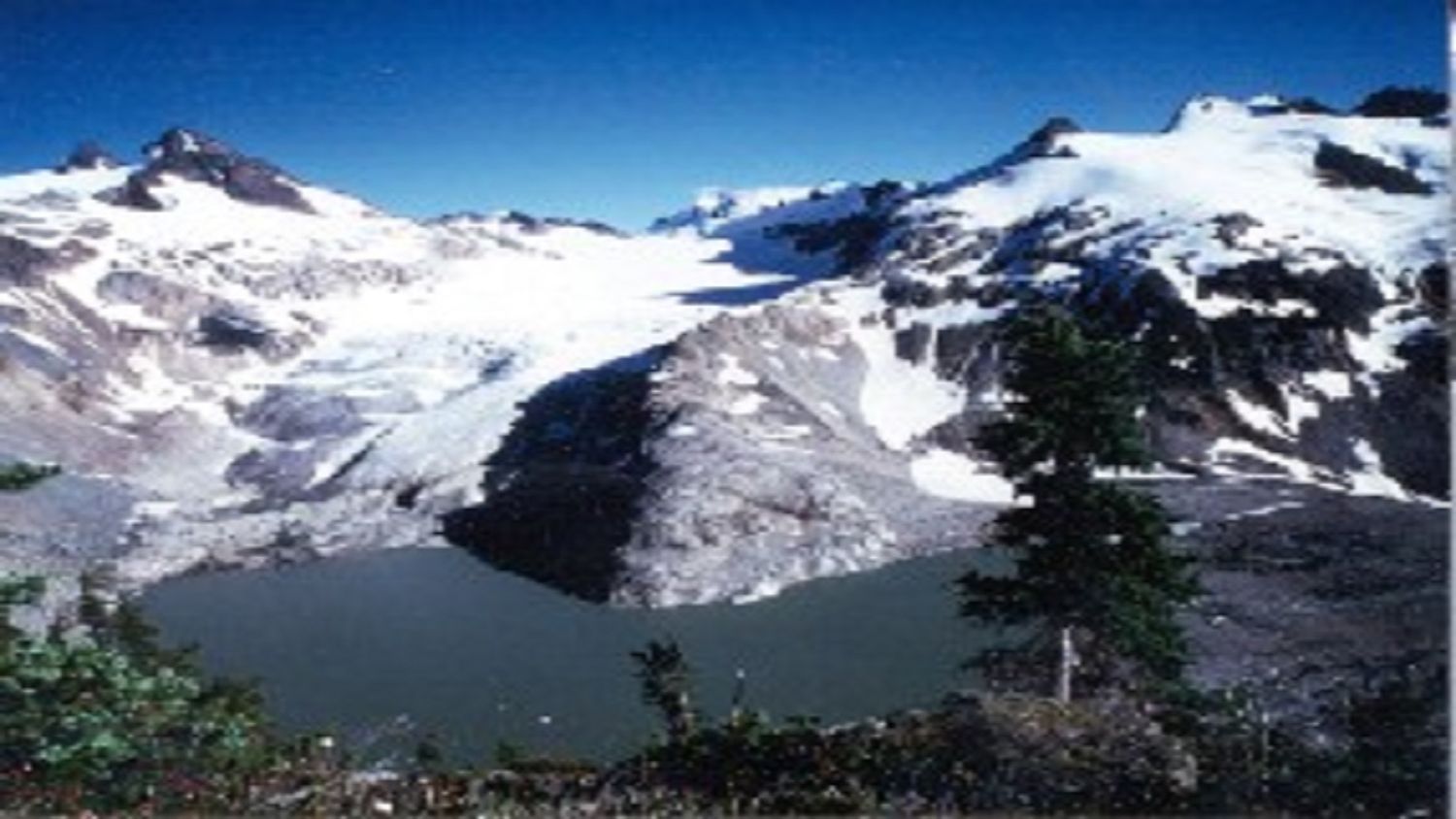 South Cascade: el GLACIAR que ha enseñado lo que hay que saber sobre estas majestuosas estructuras de hielo