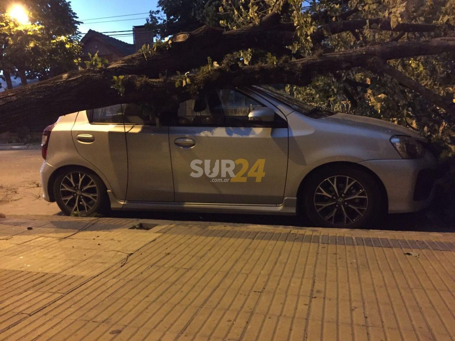 Tormenta en Venado Tuerto: Cayeron árboles en diferentes barrios