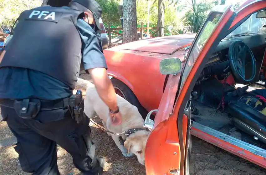 Policía Federal desbarató una red narco en la costa