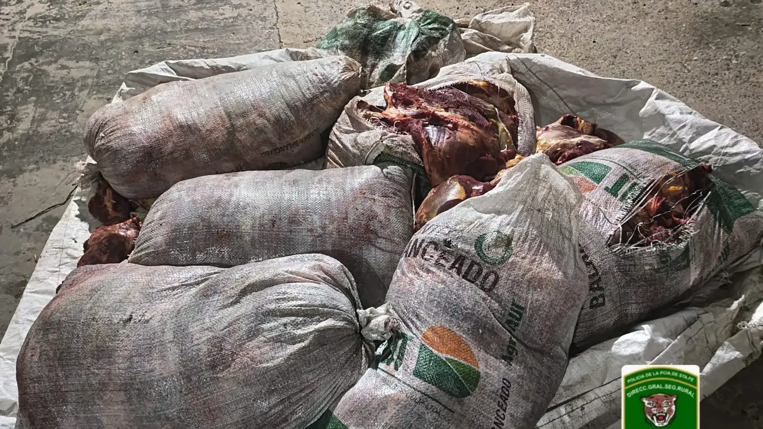 bolsas de carne