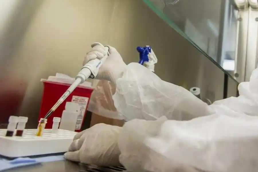 La cepa Manaos está circulando en Formosa capital, Clorinda, El Colorado, Pirané y Laishí