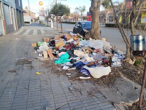 Ya da olor: basura a cielo abierto en plena avenida San Martín