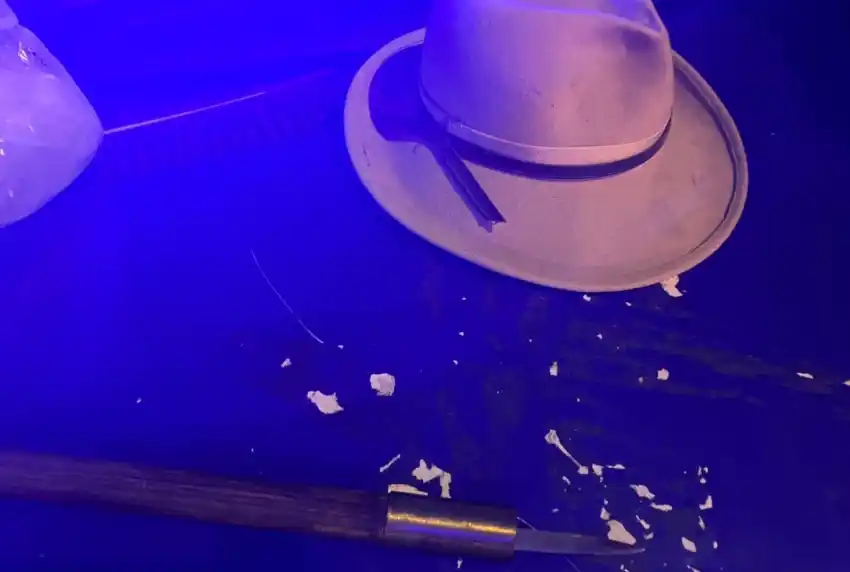 "El loco del bastón": se subió a un colectivo y agredió a los pasajeros