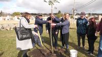 Huella Joven: Invitan a presentar proyectos sobre el cuidado del ambiente
