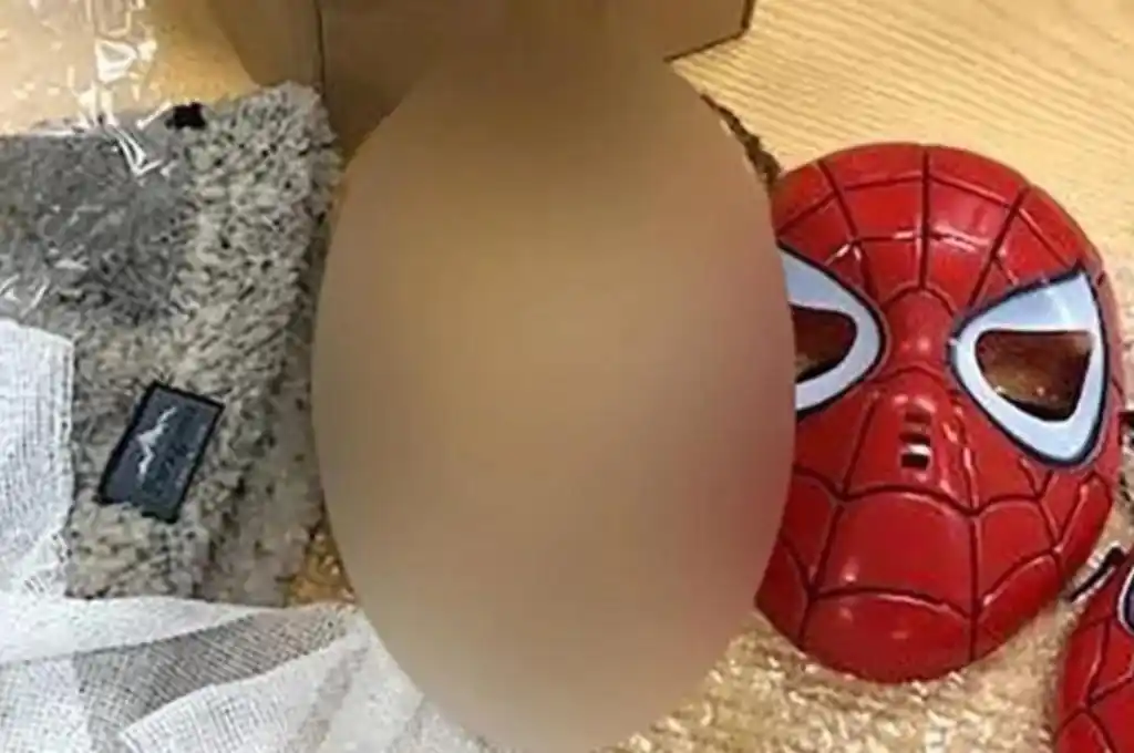 Espeluznante: revisaban una encomienda y hallaron la cabeza momificada de un nene