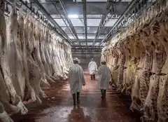 Cinco sectores cerraron paritarias con aumentos de entre 45 y 50%