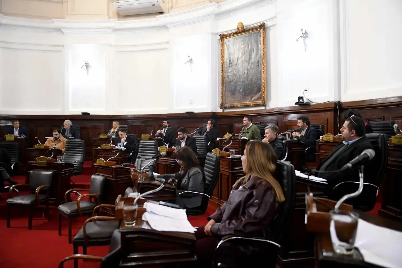 La iniciativa fue presentada por el concejal de Propuesta Vecinal Darío Ganduglia.
