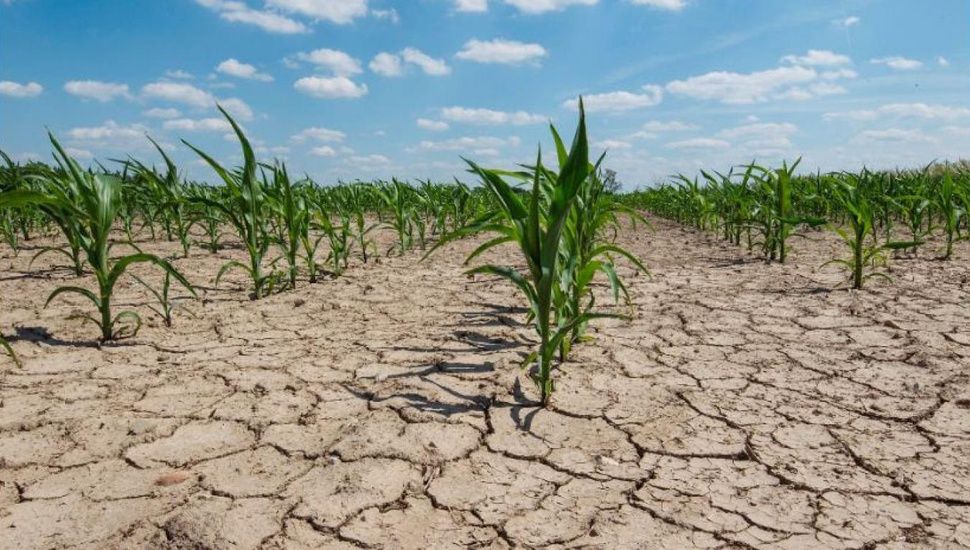 Provincia formalizó la Emergencia Agropecuaria para trece distritos bonaerenses