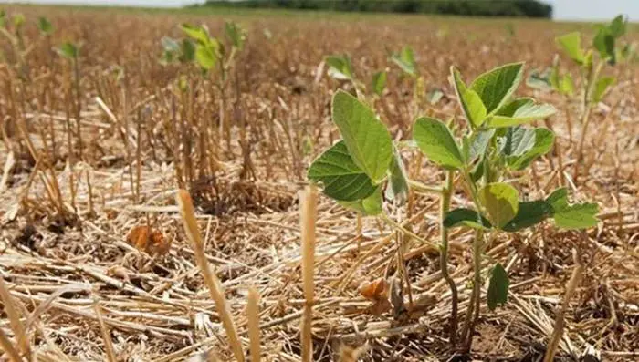 Créditos para productores  afectados por la sequía