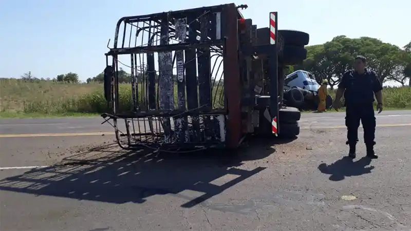 Un camión que transportaba caballos se quedó sin frenos y volcó en la ruta