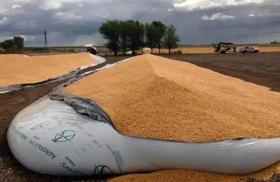 Benedetti propone incorporar al Código Penal los delitos contra los silobolsas