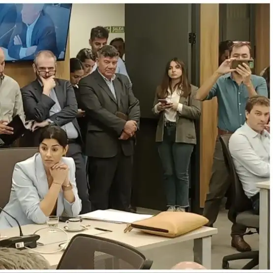Trío. Pagano, Bidegaray y Bindi, en el Congreso.