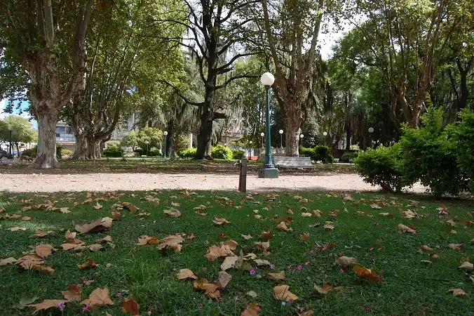 Domingo otoñal en Gualeguaychú: el frío da un leve respiro y la temperatura trepará a los 18ºC por la tarde