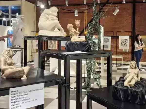 Territorio Híbrido: una muestra para habitar la identidad formoseña desde el arte